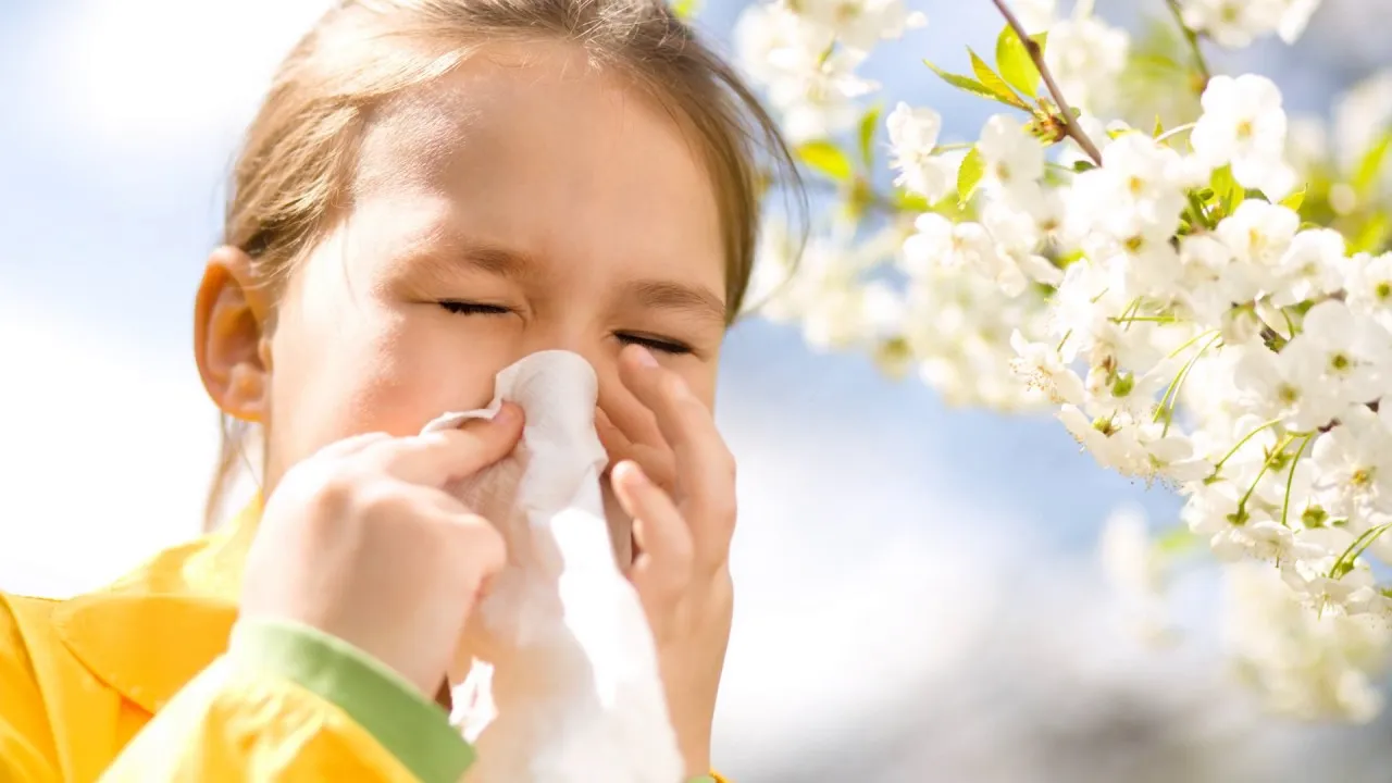 spring allergies