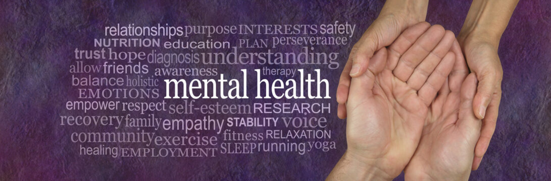 Primary Care Support for Mental Health Conditions