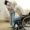 How Geriatric Medicine Improves Quality of Life for Seniors
