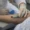 Why Regular Blood Tests Save Lives: Key Tests Every Adult Should Know