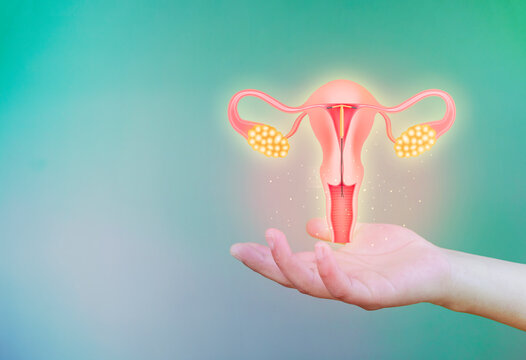 How Weight Management Can Prevent Hormonal and Reproductive Health Issues