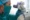 Benefits of Flexible Sigmoidoscopy for Colorectal Health