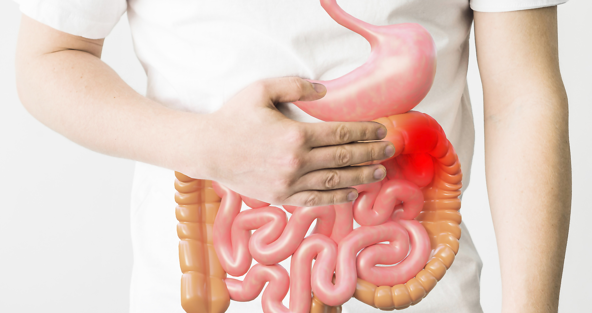 How a Leaky Gut May Be Linked to Brain Fog and Chronic Fatigue Syndrome