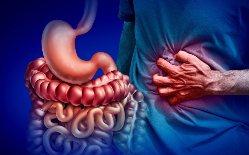 How Gut Bacteria Imbalance Leads to Leaky Gut and Poor Digestion