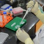 The Role of WHO and UNICEF in Expanding Vaccine Access Worldwide