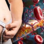 Why Obesity Awareness Campaigns Are Critical for Public Health