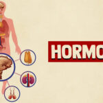 How Chronic Hormone Imbalances Can Impact Metabolism, Energy, and Overall Wellness